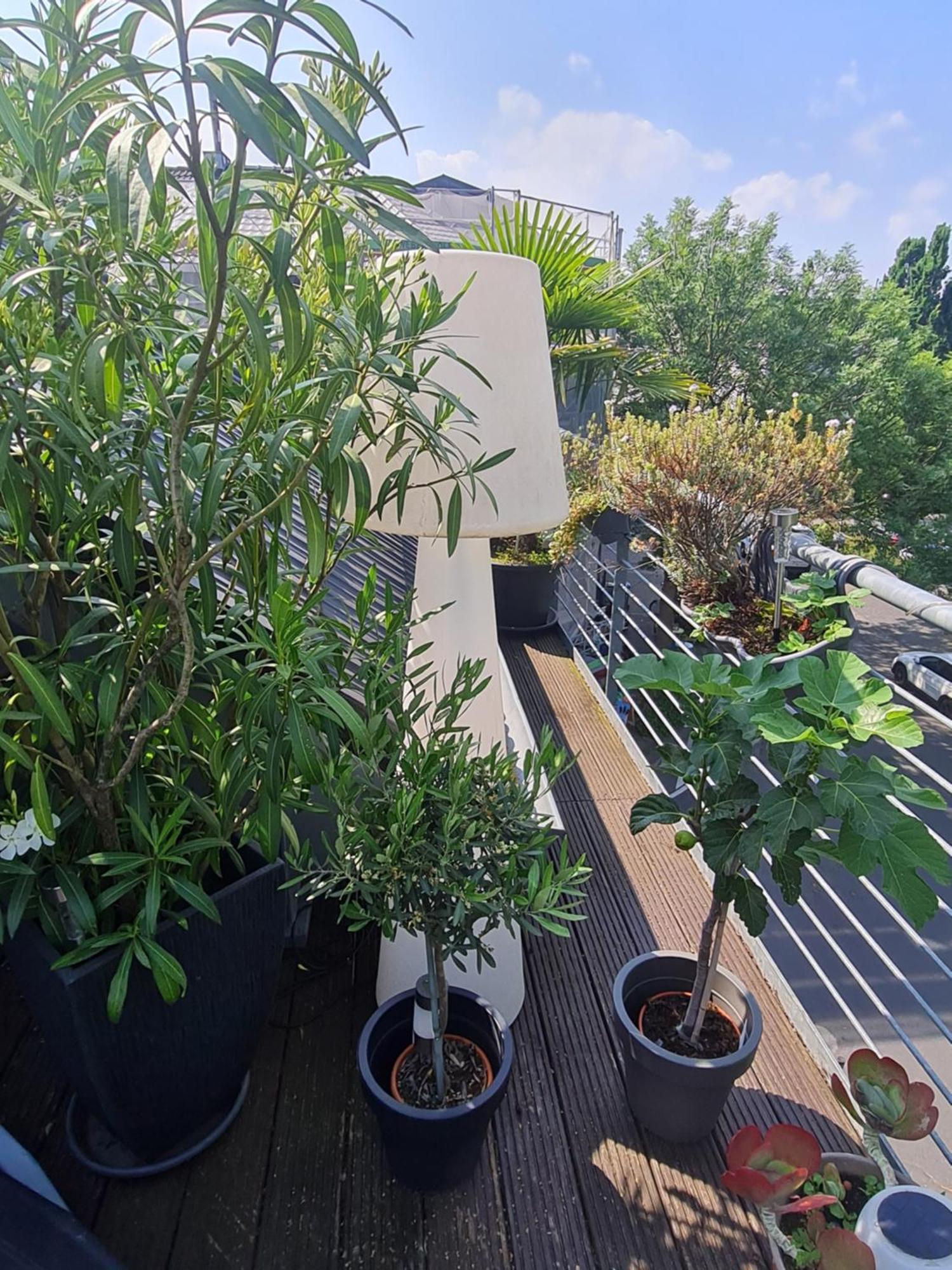 Athome Bonn